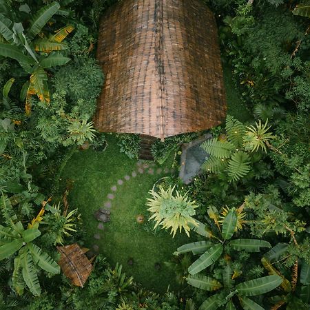 サイドメン Alamvaya Bali Bamboo Houseヴィラ エクステリア 写真