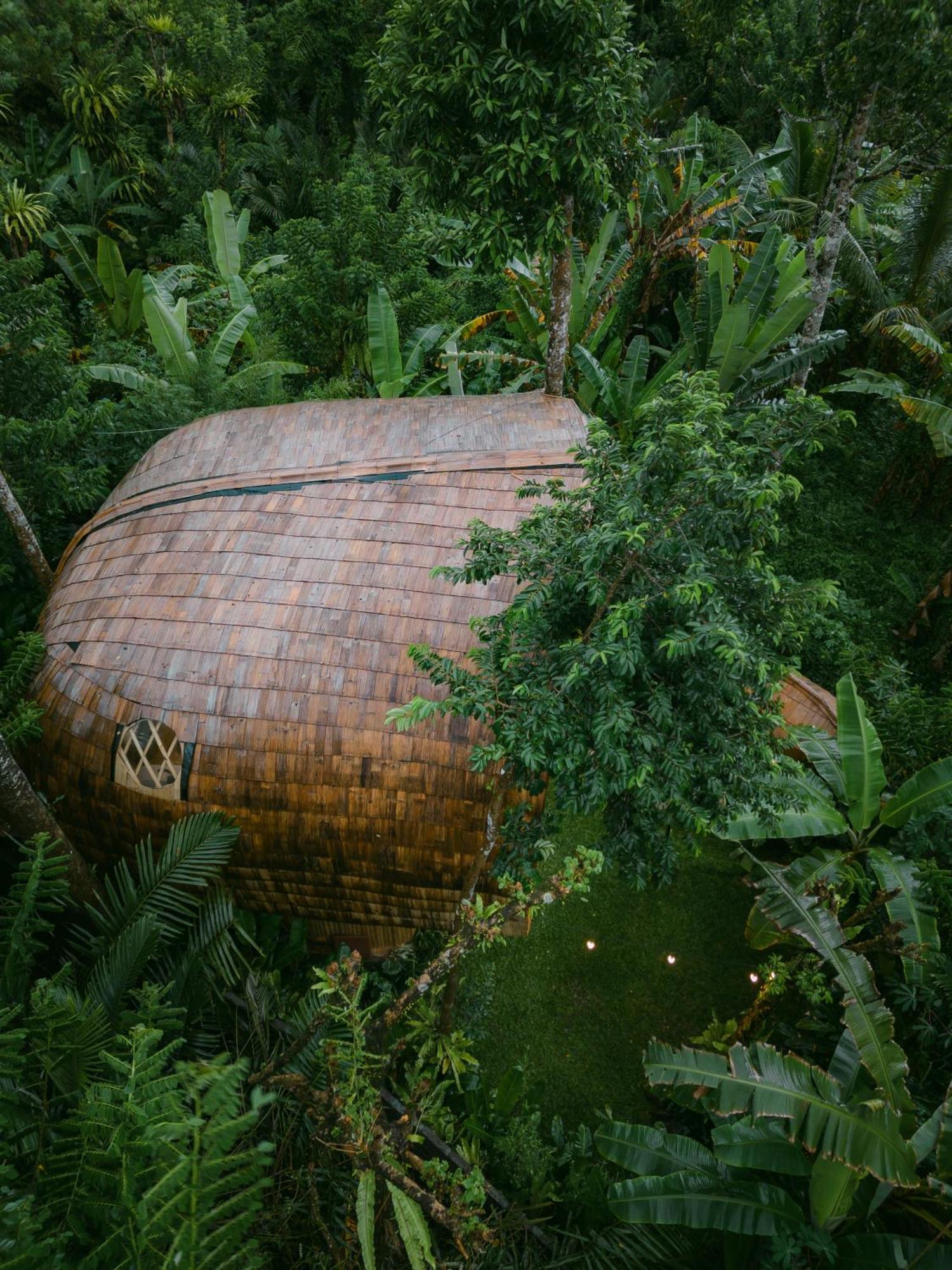 サイドメン Alamvaya Bali Bamboo Houseヴィラ エクステリア 写真