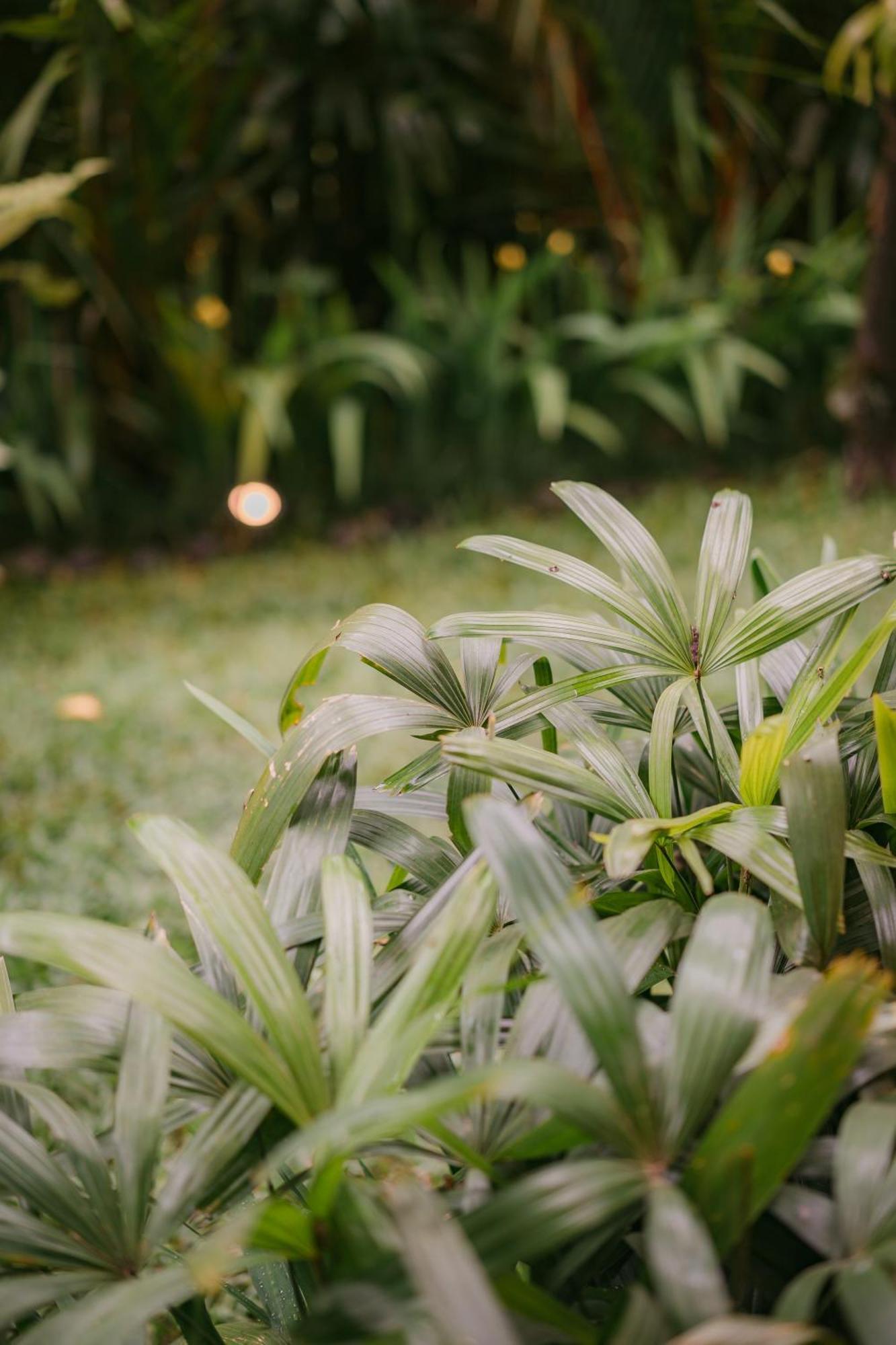 サイドメン Alamvaya Bali Bamboo Houseヴィラ エクステリア 写真