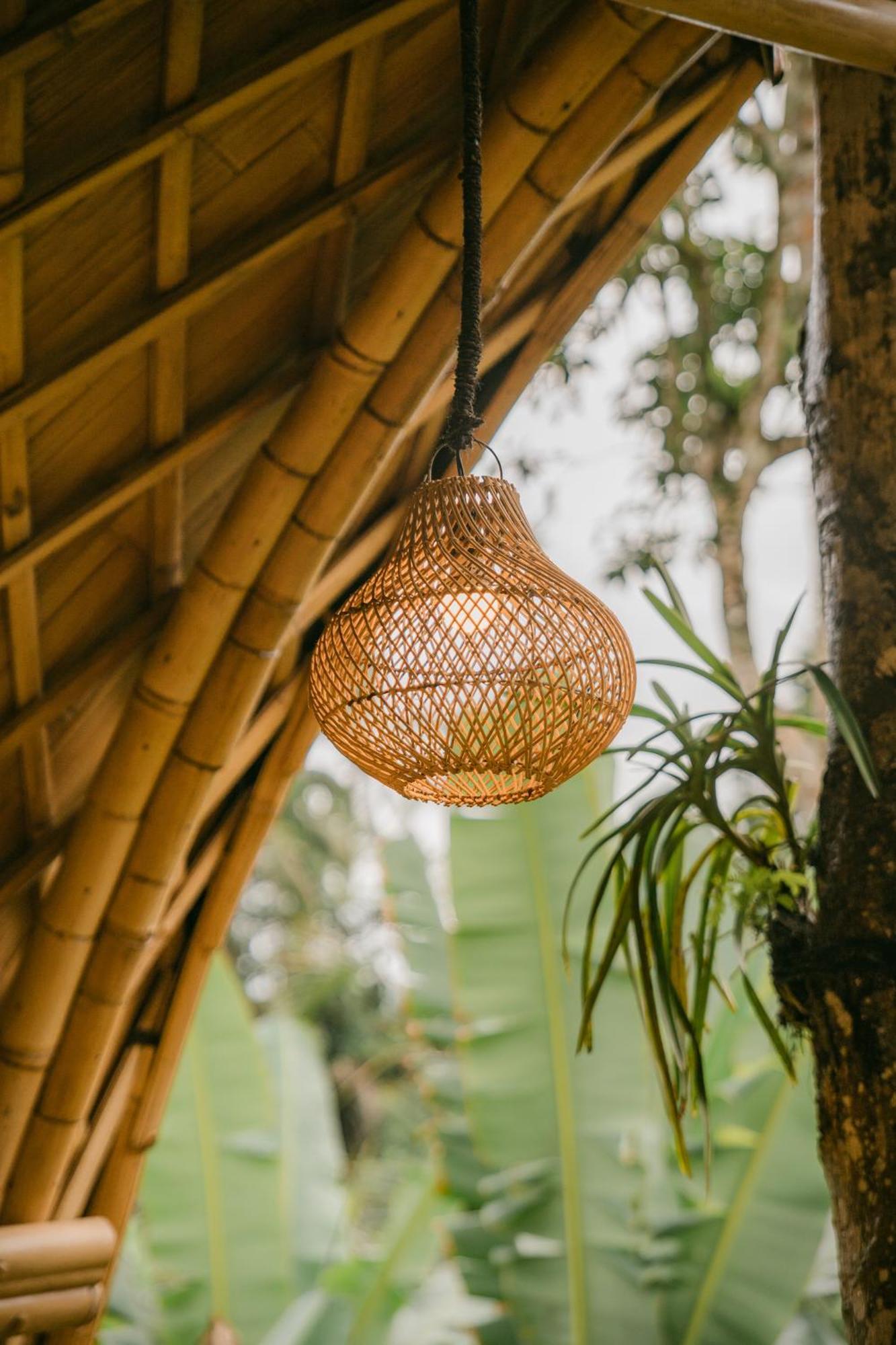 サイドメン Alamvaya Bali Bamboo Houseヴィラ エクステリア 写真