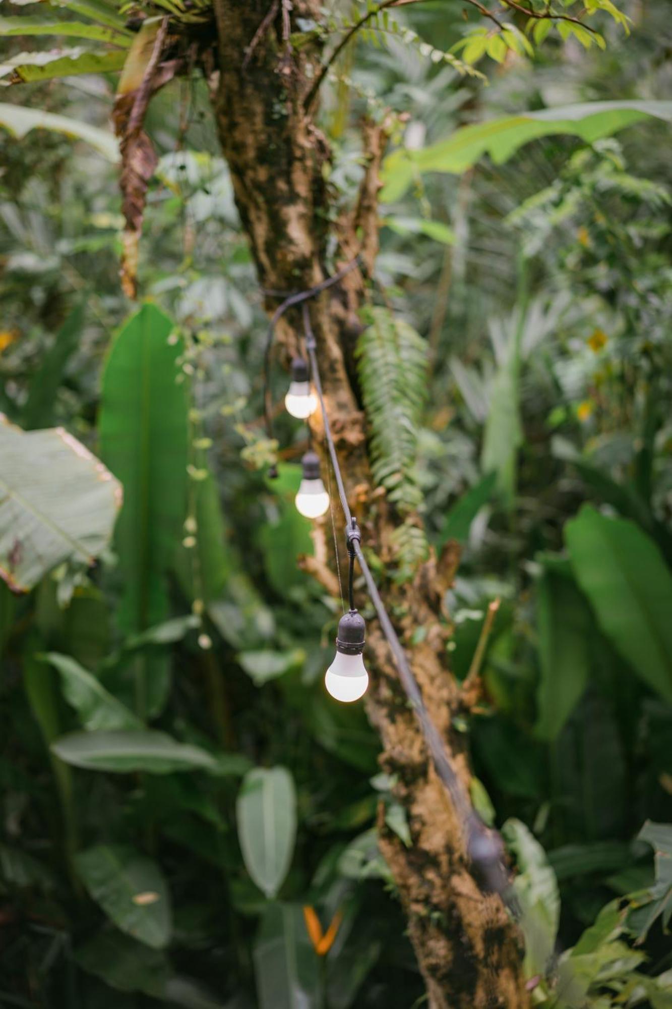 サイドメン Alamvaya Bali Bamboo Houseヴィラ エクステリア 写真