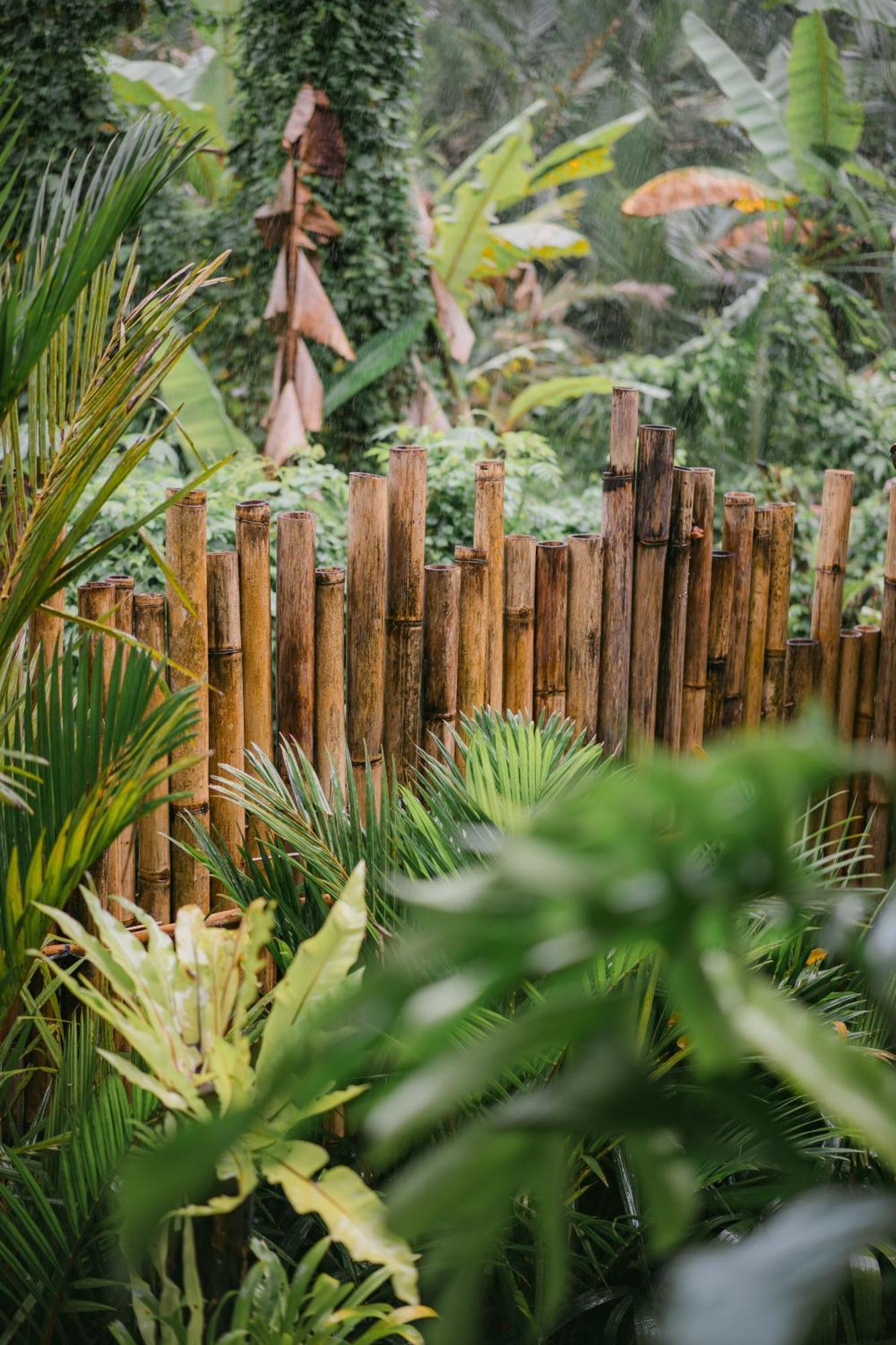サイドメン Alamvaya Bali Bamboo Houseヴィラ エクステリア 写真